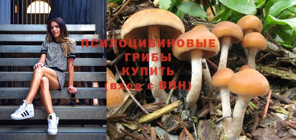 спиды Абдулино